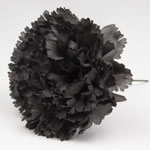 Flamenco Artificial Carnations. Sevilla Model. Black 4.132€ #5041916109NGTR20